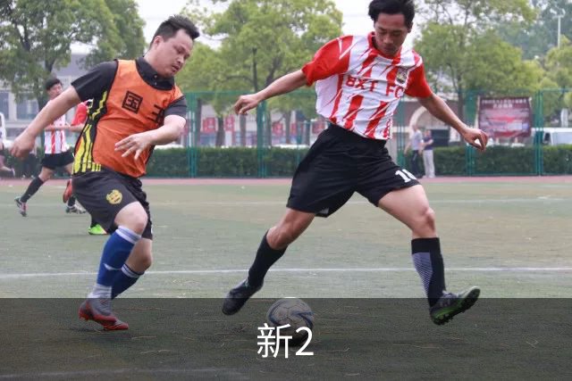 新2公司介绍图片
